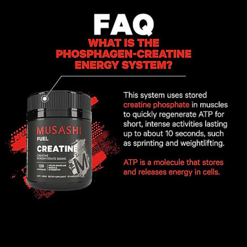 [Expiry Date: 31/01/2028] Musashi Creatine Monohydrate 500mg 120 Capsules